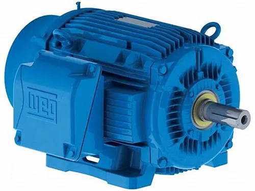 Teuntin Electrical Services supply AC Induction Motors